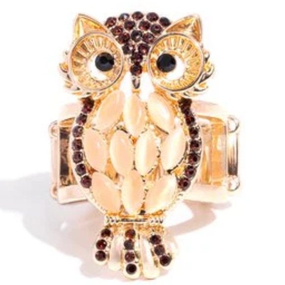 🦉🤎🦉 “OWL OBSESSION” BROWN OWL RING ~ PAPARAZZI❗️🦉🤎🦉 - Picture 1 of 4